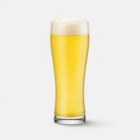 Radler 0,5l
